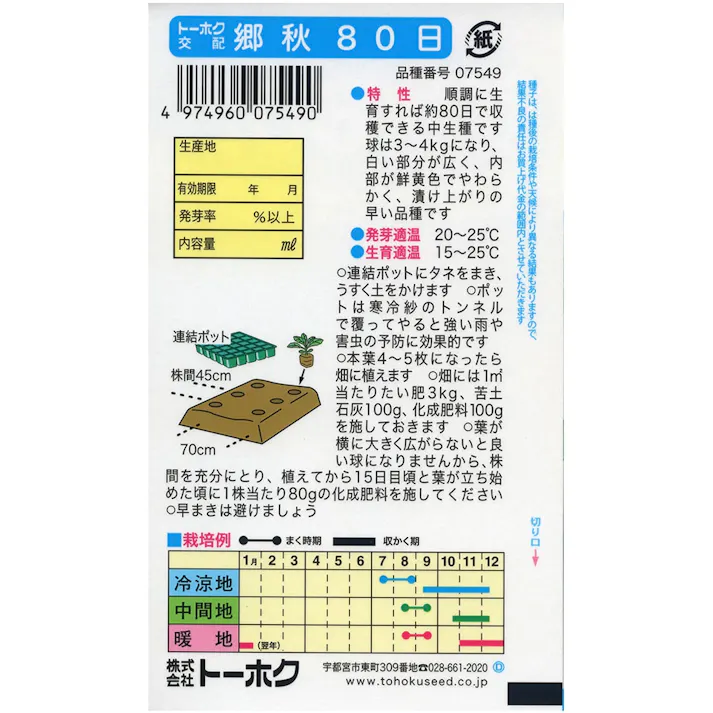 F1 郷秋 80日白菜