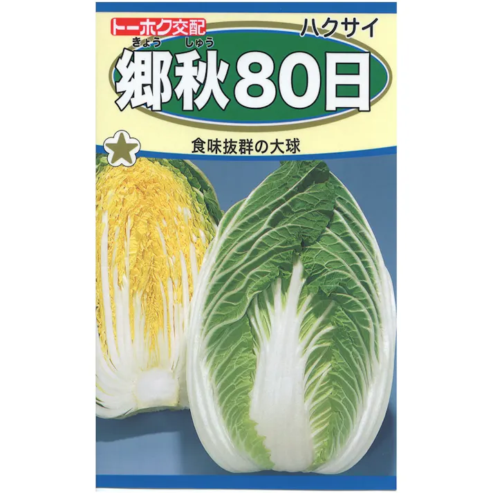 F1 郷秋 80日白菜