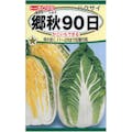 トーホク 郷秋 90日白菜