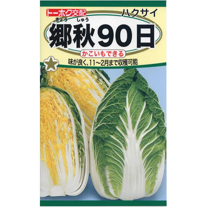 郷秋 90日白菜