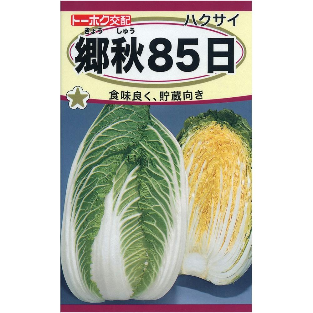 緑被せ乳白コンポート 緑被せ乳白コンポート 待望のZX-4Rが発表目前!? 68psの刺客「KOVE」