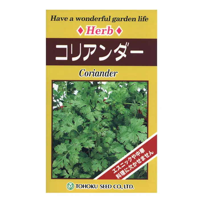 ハーブ コリアンダー