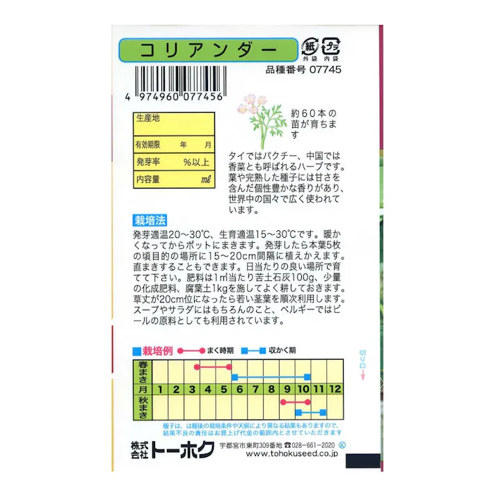 ハーブ コリアンダー