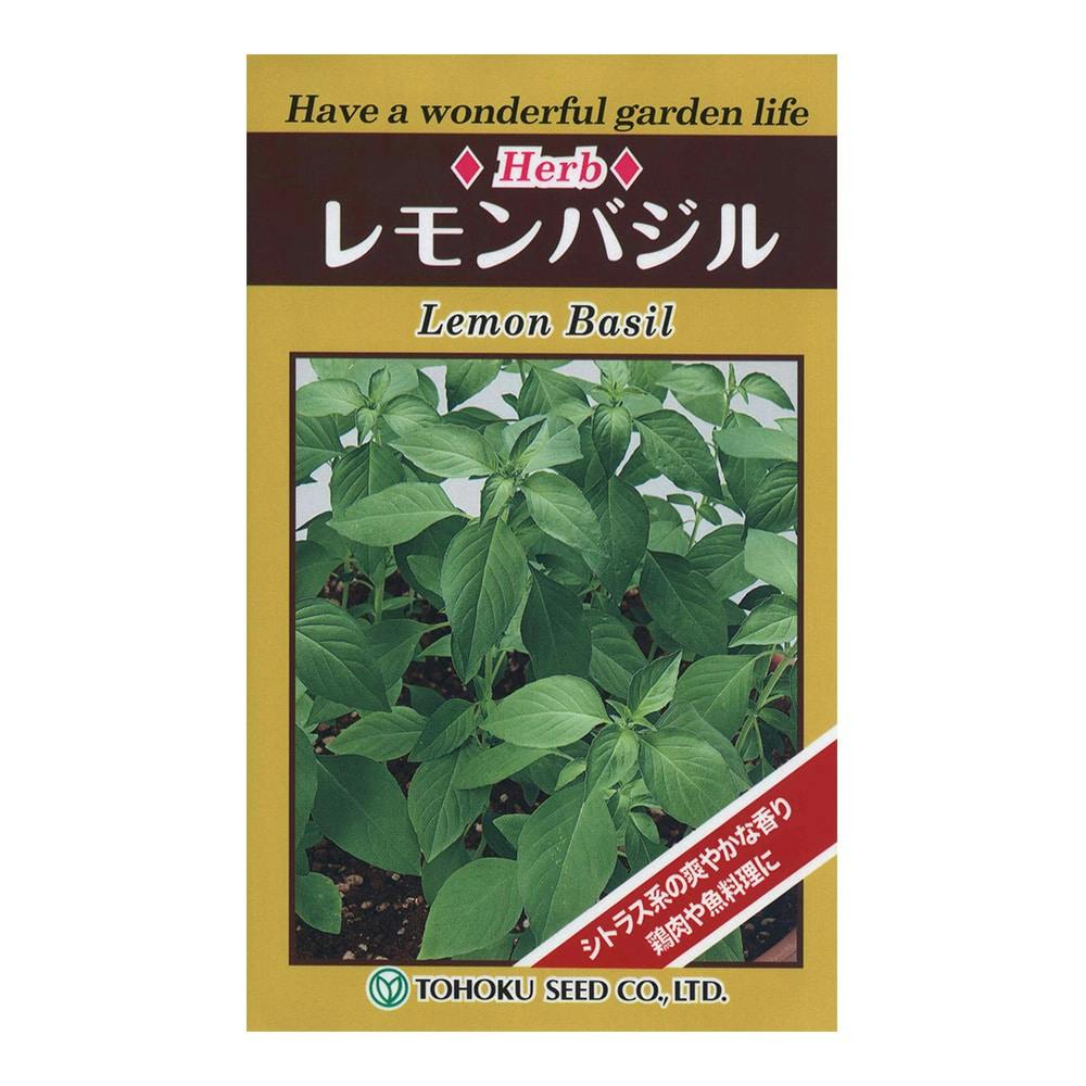 ハーブレモンバジル(販売終了) | 花＆グリーン 通販