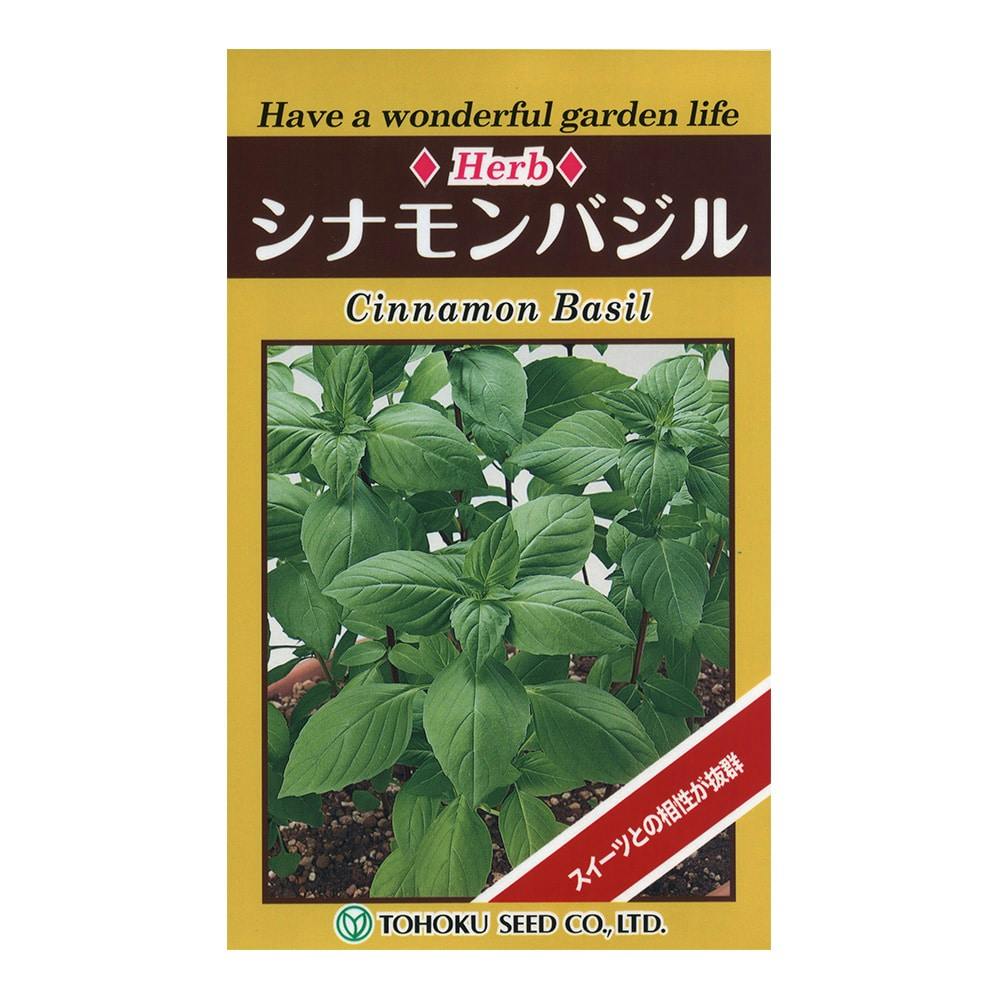 小豆大納言(販売終了) | 花＆グリーン 通販 | ホームセンターの