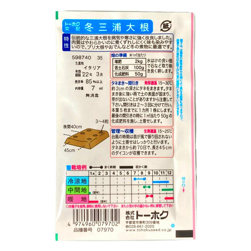 饅頭根付　セイウチ　BL2-009 ちどり産業 カラーペーパー 蓋付き (幅36×奥行27×高さ24cm