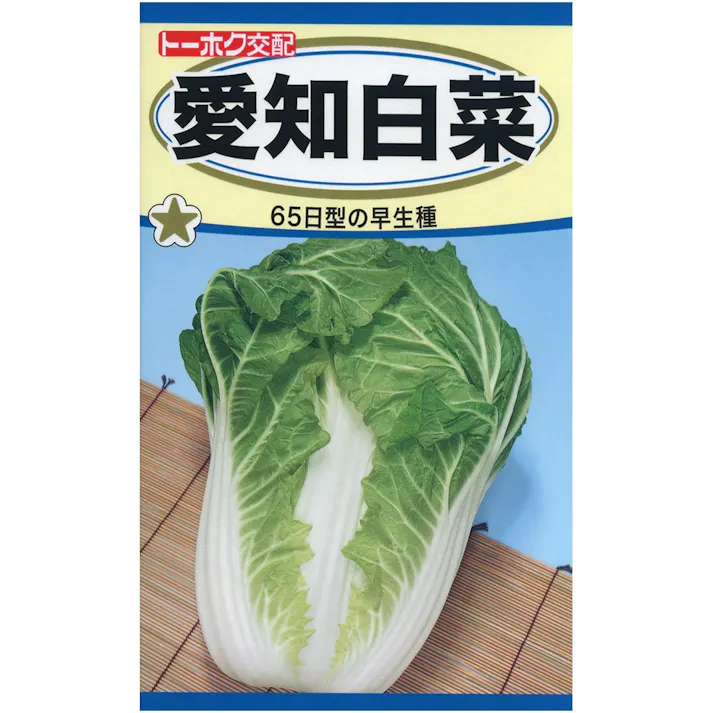 F1 愛知白菜