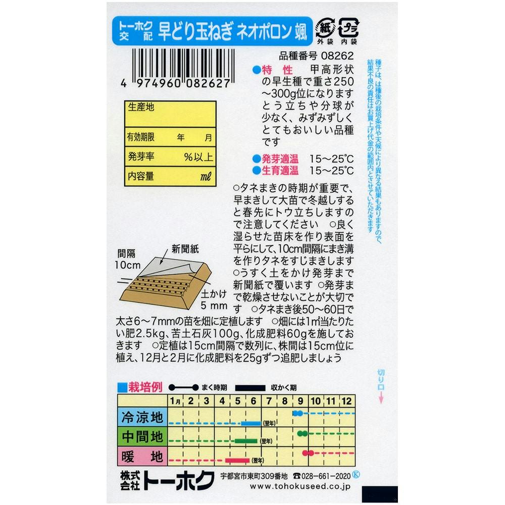 F1 早どり玉ねぎ ネオポロン | 花＆グリーン 通販