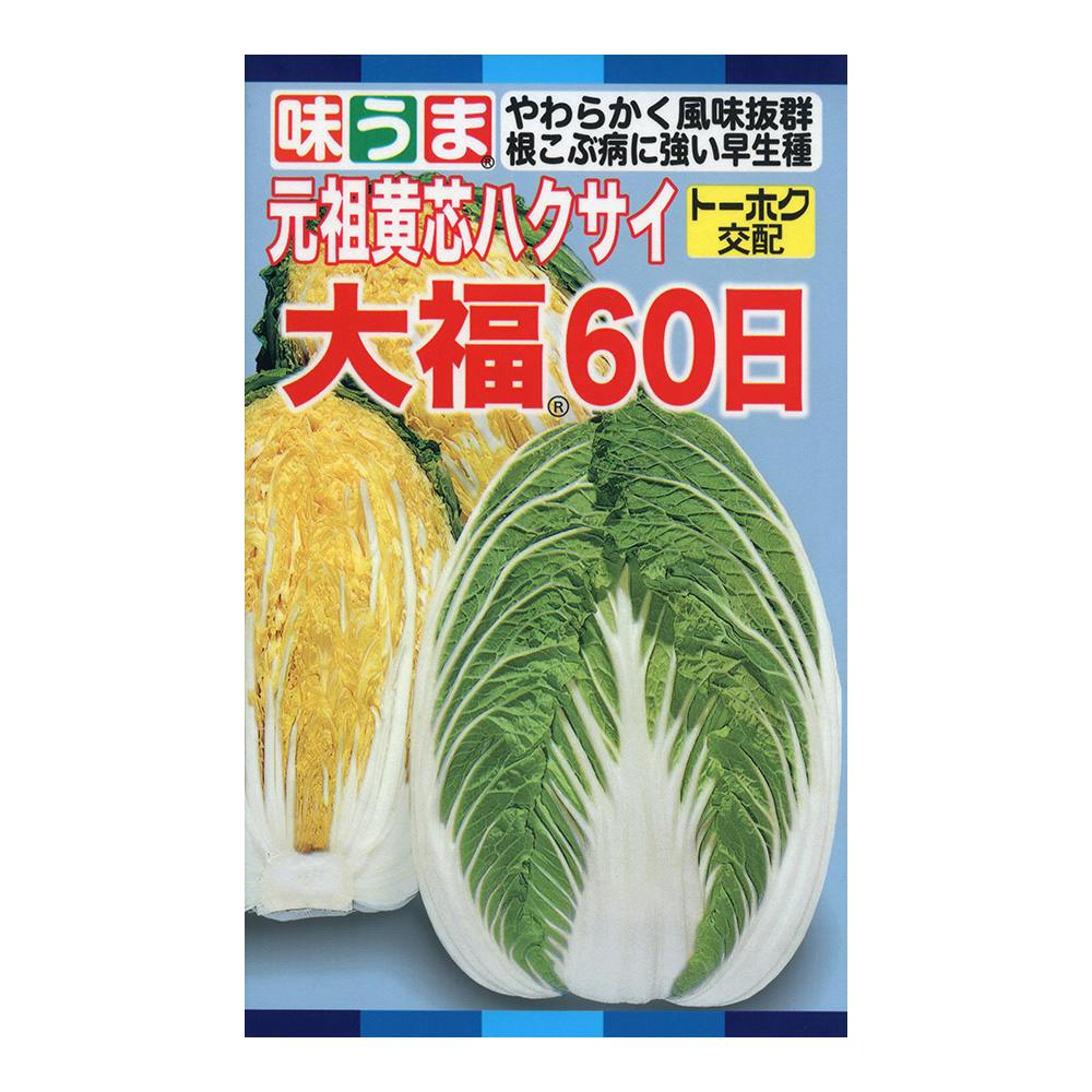 かぼちゃ  かぼちゃ｜LAWSON STORE 100｜ローソンストア100公式サイト