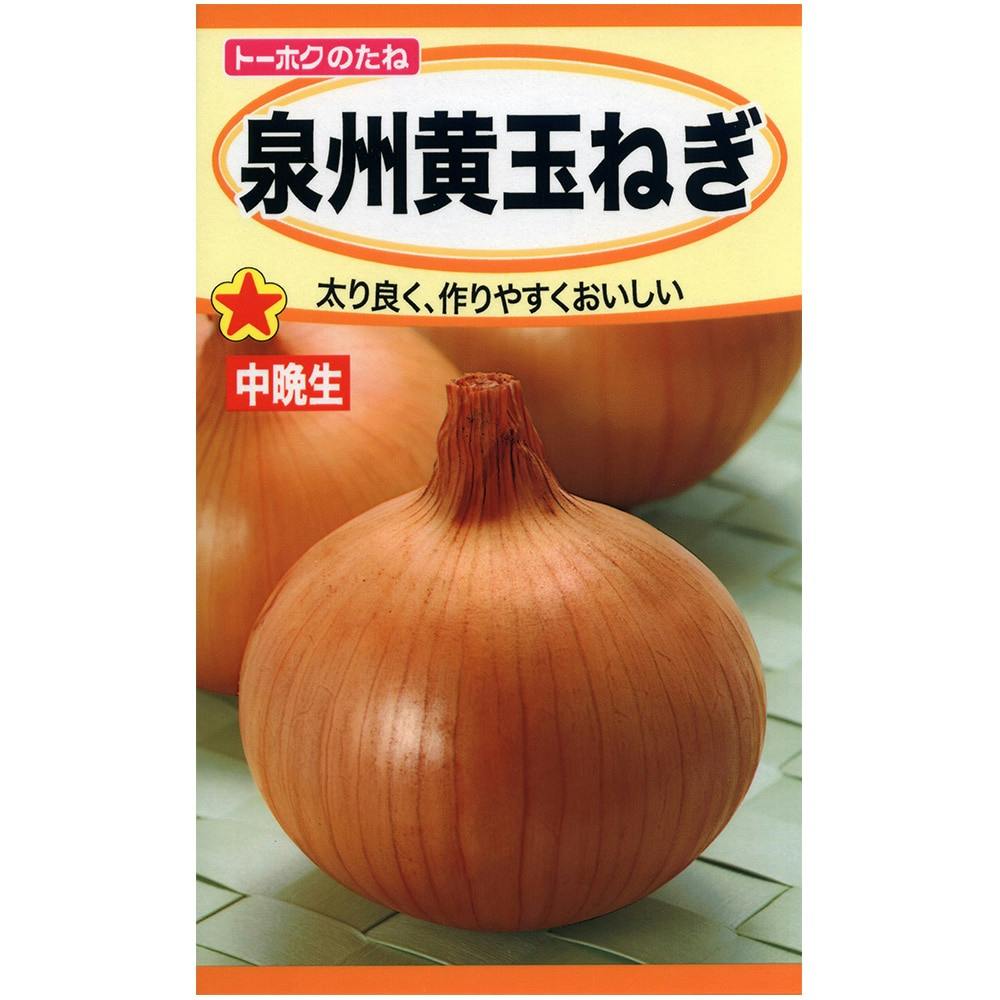 トーホク 泉州黄玉ねぎ ホームセンター通販 カインズ