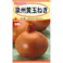 泉州黄玉ねぎ