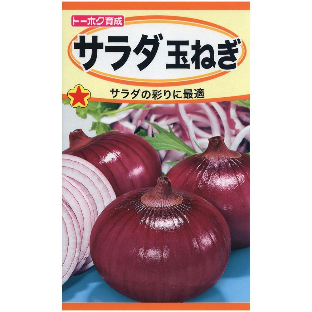 サラダ玉ねぎ | 花＆グリーン 通販 | ホームセンターのカインズ
