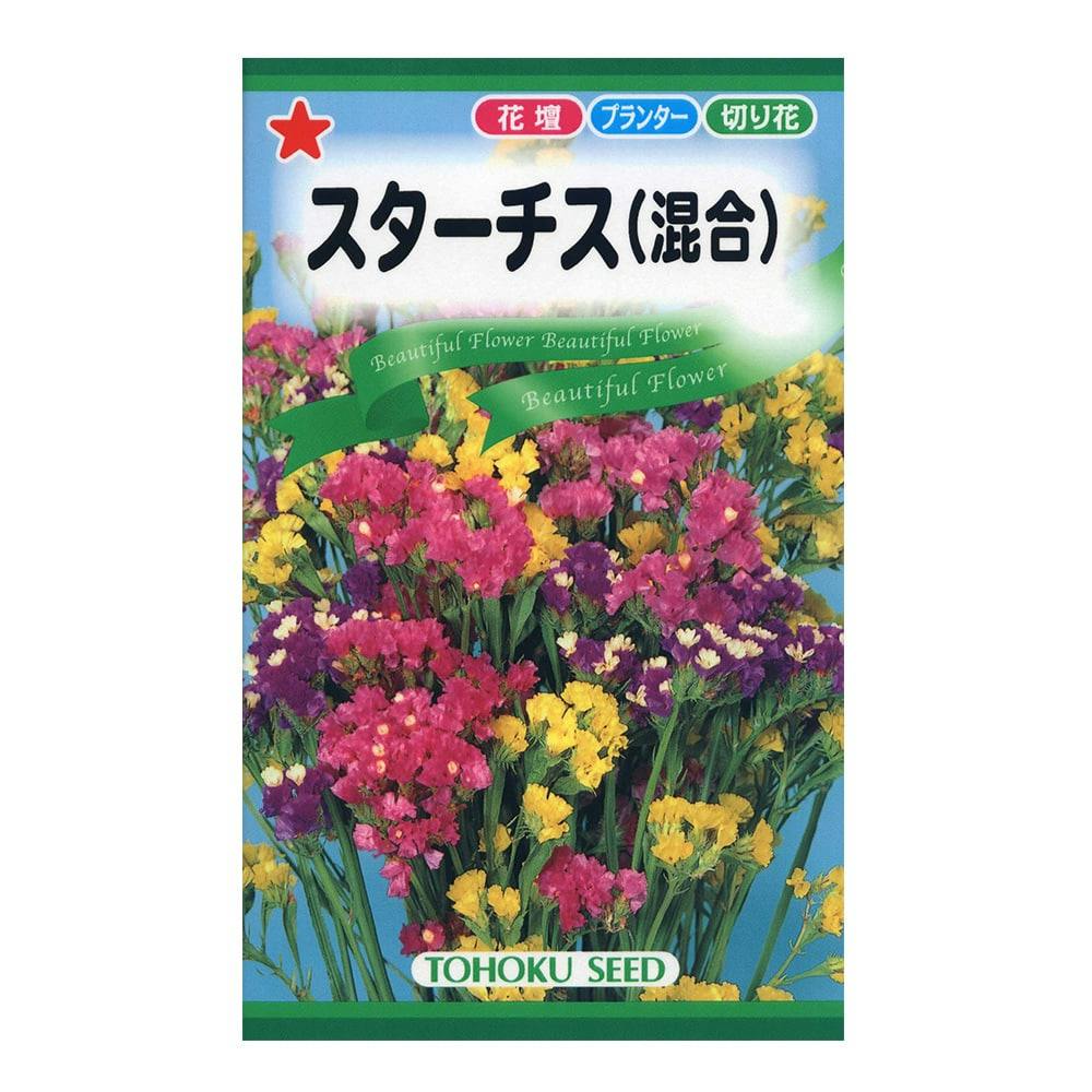 花の種 園芸 農業資材 ホームセンター通販 カインズ