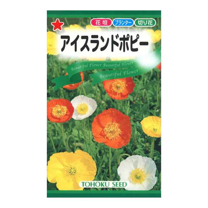 アイスランドポピー