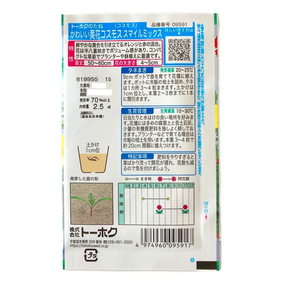 コスモスページです！ コスモスページです！ 波豆川コスモス | Phantom Gourmet 時々 Bike ZX