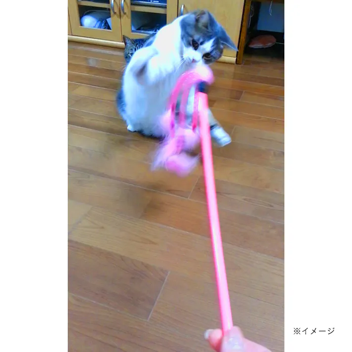 ねこモテじゃらしフワリピンク