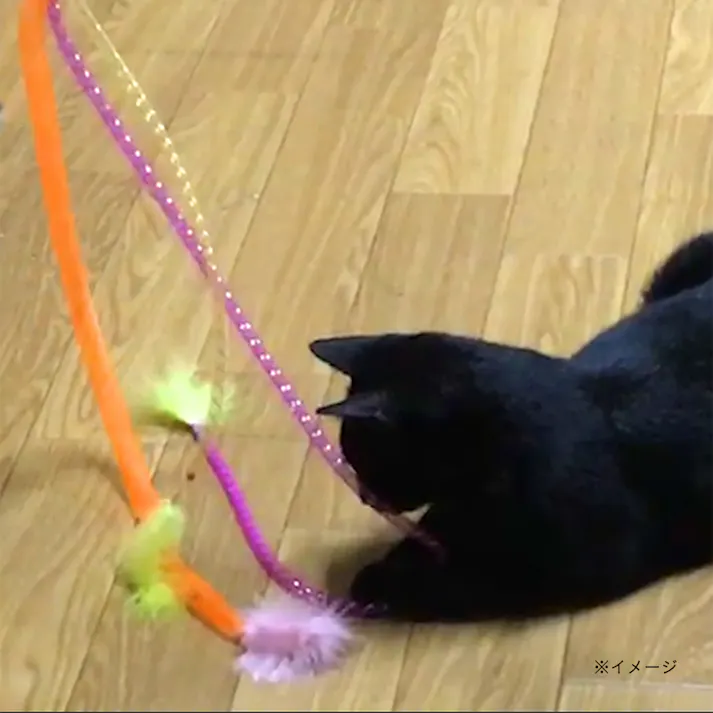 ねこモテ ビョンビョンジャラシ02/トリプル