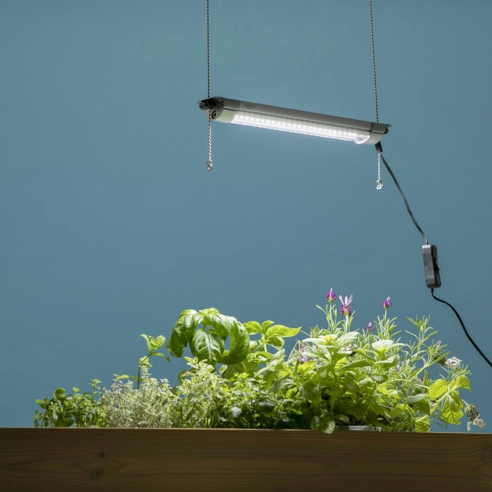 グロー　ライト　2個セット Ninja ZX-25R 2021〜2022年式 カワサキ純正 LEDヘッドライト 23004