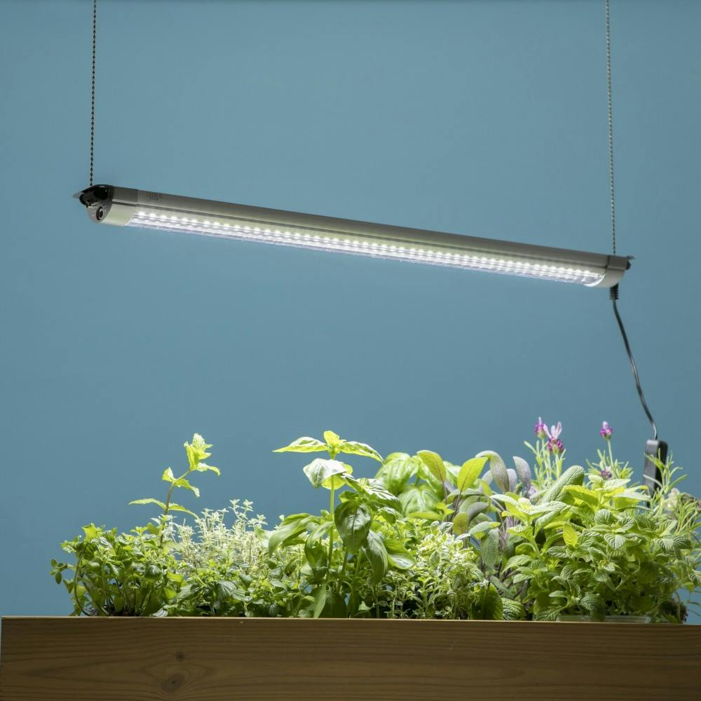 税込 LED plantグローライト; 3チューブグローライト nsmoh.gov.ng