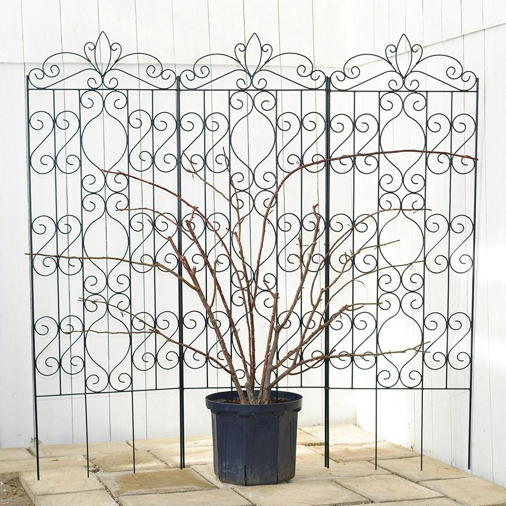 デザイントレリス 1800 | アーチ・トレリス・フェンス 通販