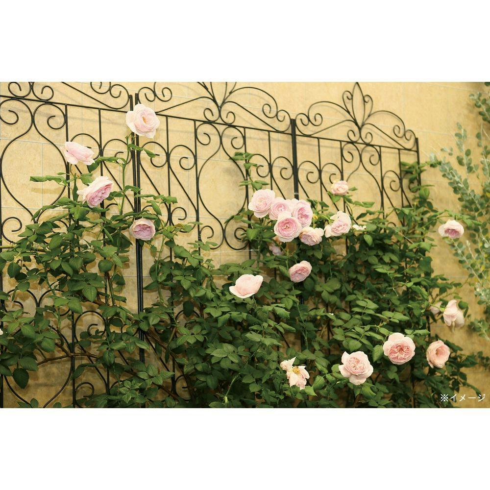 デザイントレリス 1800 | アーチ・トレリス・フェンス 通販