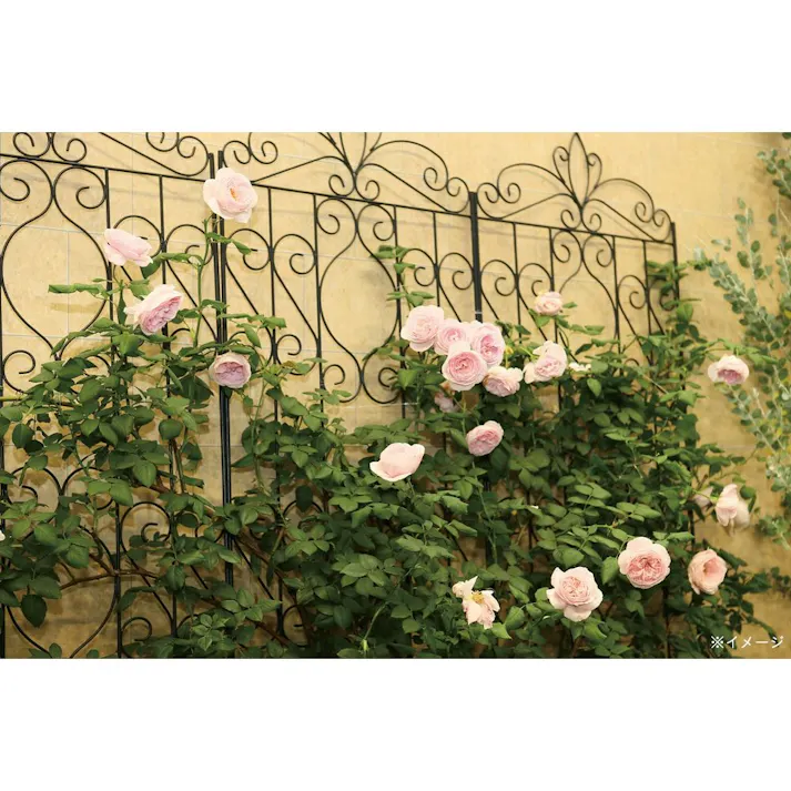 デザイントレリス 1800