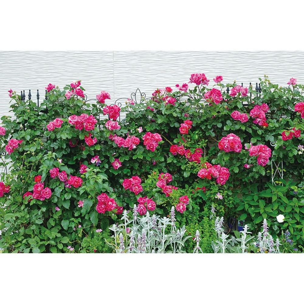 [専用出品]GrayghostEnthusiast 楽天市場】MOJYU PBX-081 宅配ボックス付ポスト Zita ジータ クール