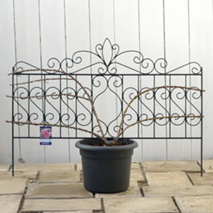 デザイントレリス 885