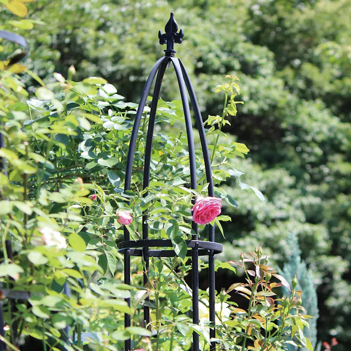 オベリスク スリム G-STORY