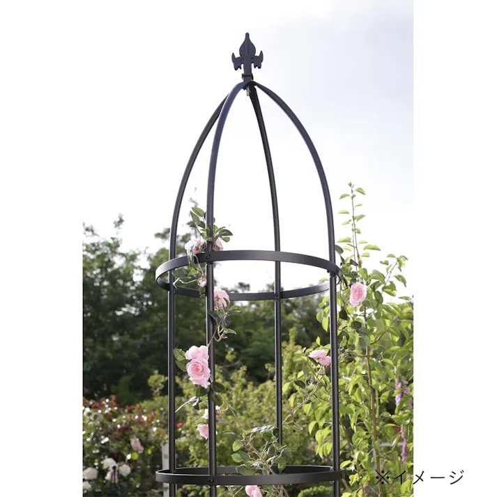 オベリスク スリム ショート