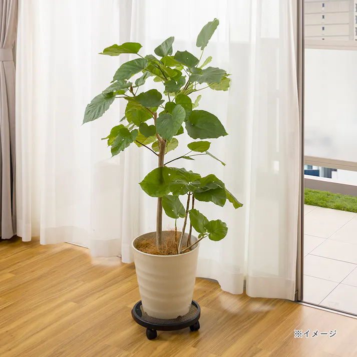 テラスポットスタンドキャスター付