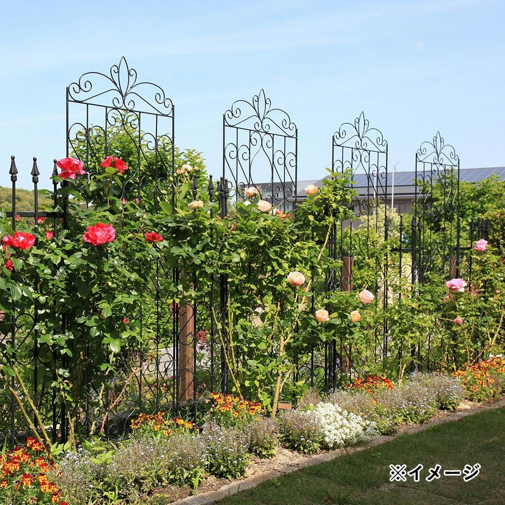 デザイントレリス2100 4枚組【SU】 | アーチ・トレリス・フェンス 通販