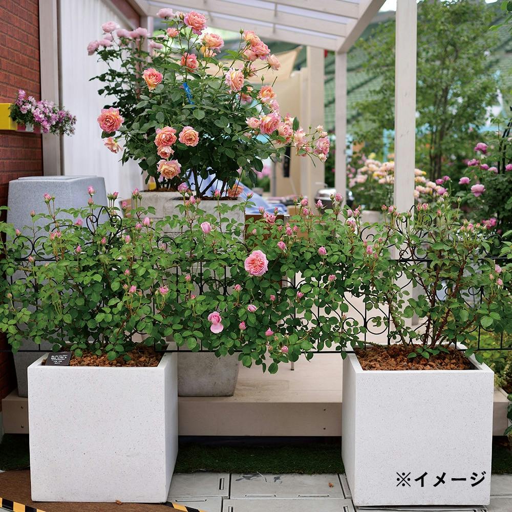 超希少デザイン♦️絵画の様なタイル天板♦️高級 ラタン チェスト♦️４段♦️送料込 超希少デザイン♦️絵画の様なタイル天板♦️高級 ラタン