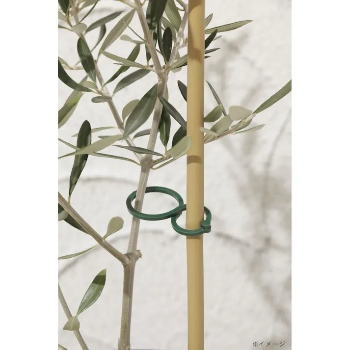 プランツクリップ 10個入