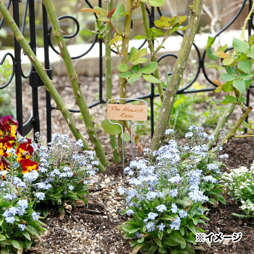 メタルフラワーラベル トール 6個入 | 支柱・ネット・ラベル 通販