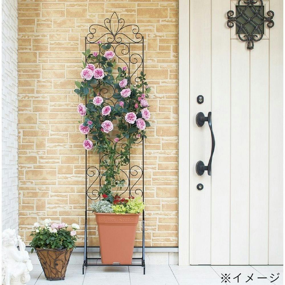 [専用出品]GrayghostEnthusiast デザイントレリススリム用スタンド | アーチ・トレリス