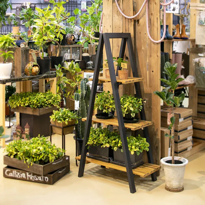 ツリーシェルフ ナチュラルブラック【別送品】