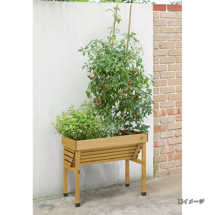 ホームベジトラグウォールハガー コンパクト ナチュラル VGT-WH04F【別送品】