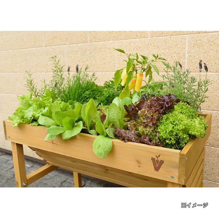 ホームベジトラグウォールハガー コンパクト ナチュラル VGT-WH04F【別送品】