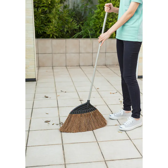 ワイドホーキ シダ