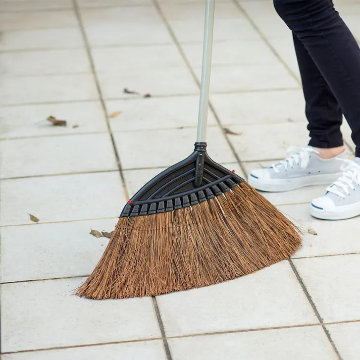 ワイドホーキ シダ