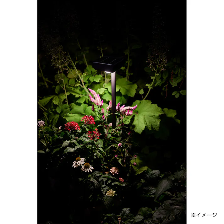 ひかりノベーション SUNCHARGE 花のひかり【別送品】