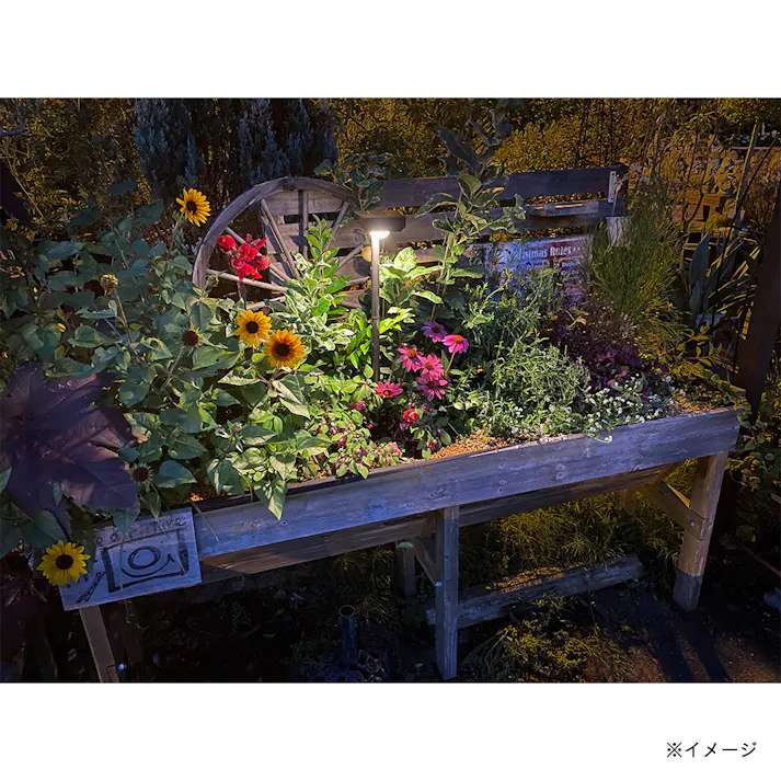 ひかりノベーション SUNCHARGE 花のひかり【別送品】