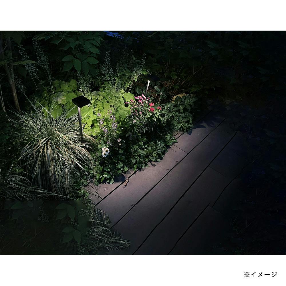 ひかりノベーション SUNCHARGE 花のひかり【別送品】 | ガーデンライト