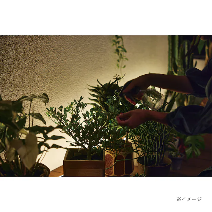 ひかりノベーション 憩いのひかり追加用ライト