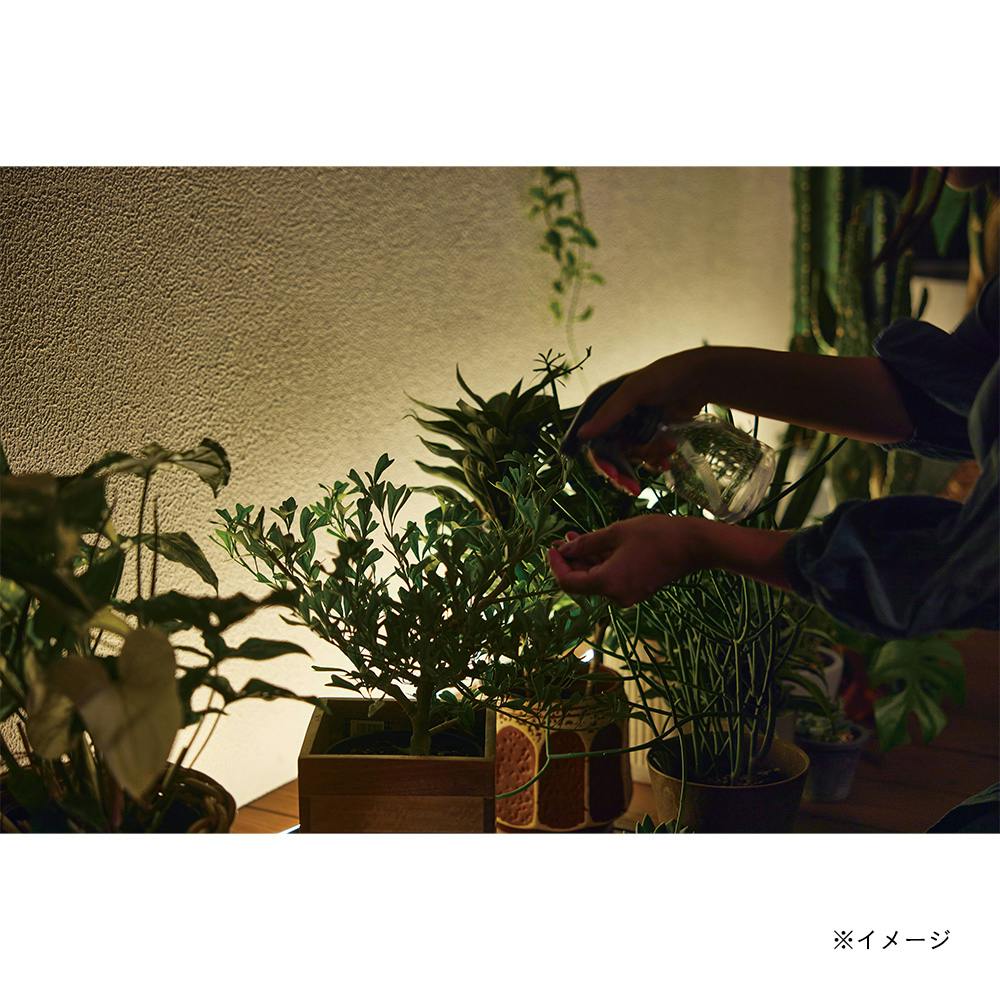 ひかりノベーション 憩いのひかり基本セット | ガーデンライト・屋外