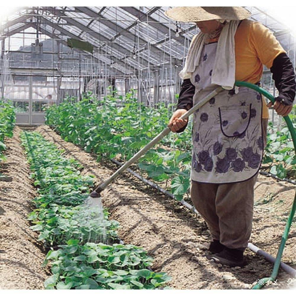 ウォルテホース25×31 WH-2550G | 散水用品・ホース 通販