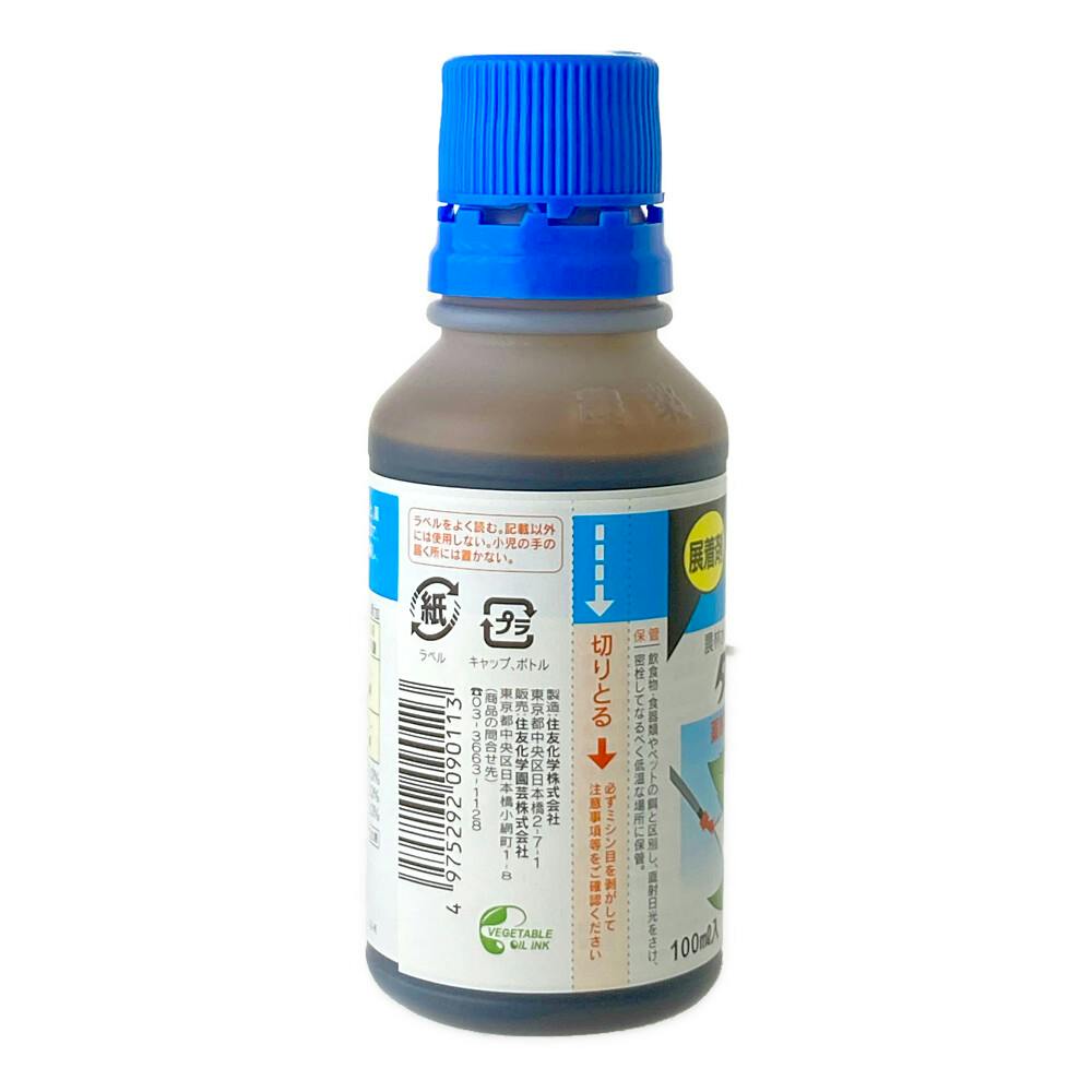 山崎クイーンサイズ 1000ml 大網てんとう虫 5996-22