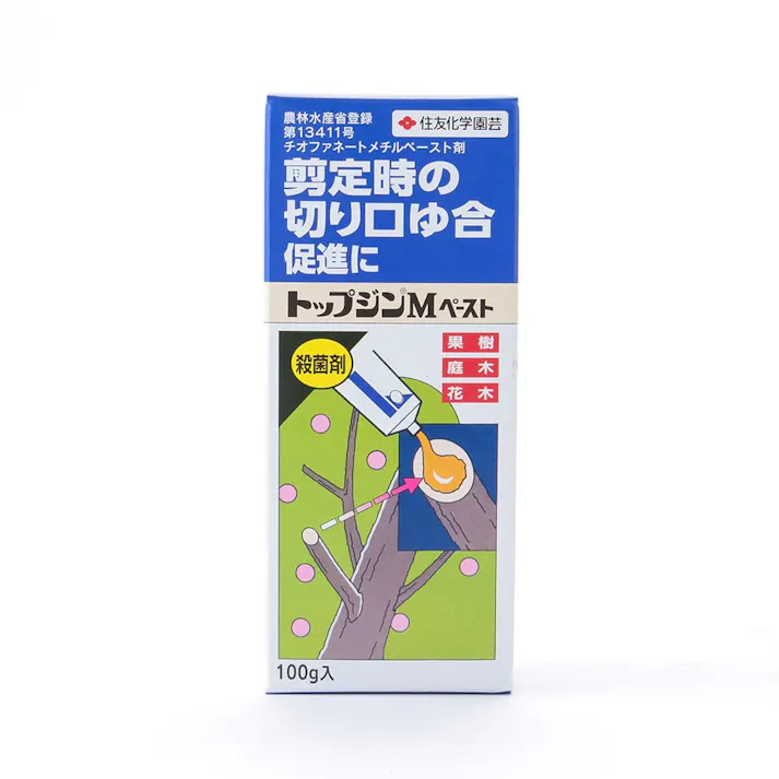トップジン M ペースト 100g