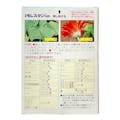 住友化学園芸 住友化学園芸 モレスタンスイワザイ 0.5g×10